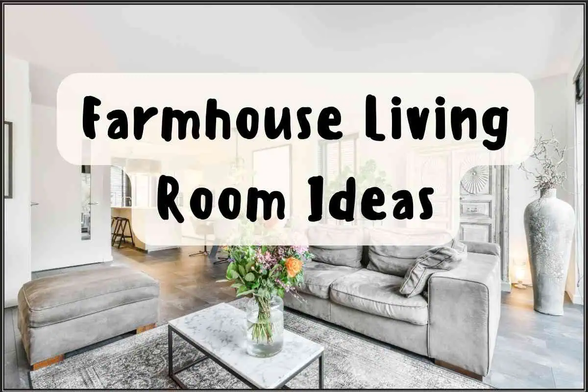 Farmhouse Living Room Ideas