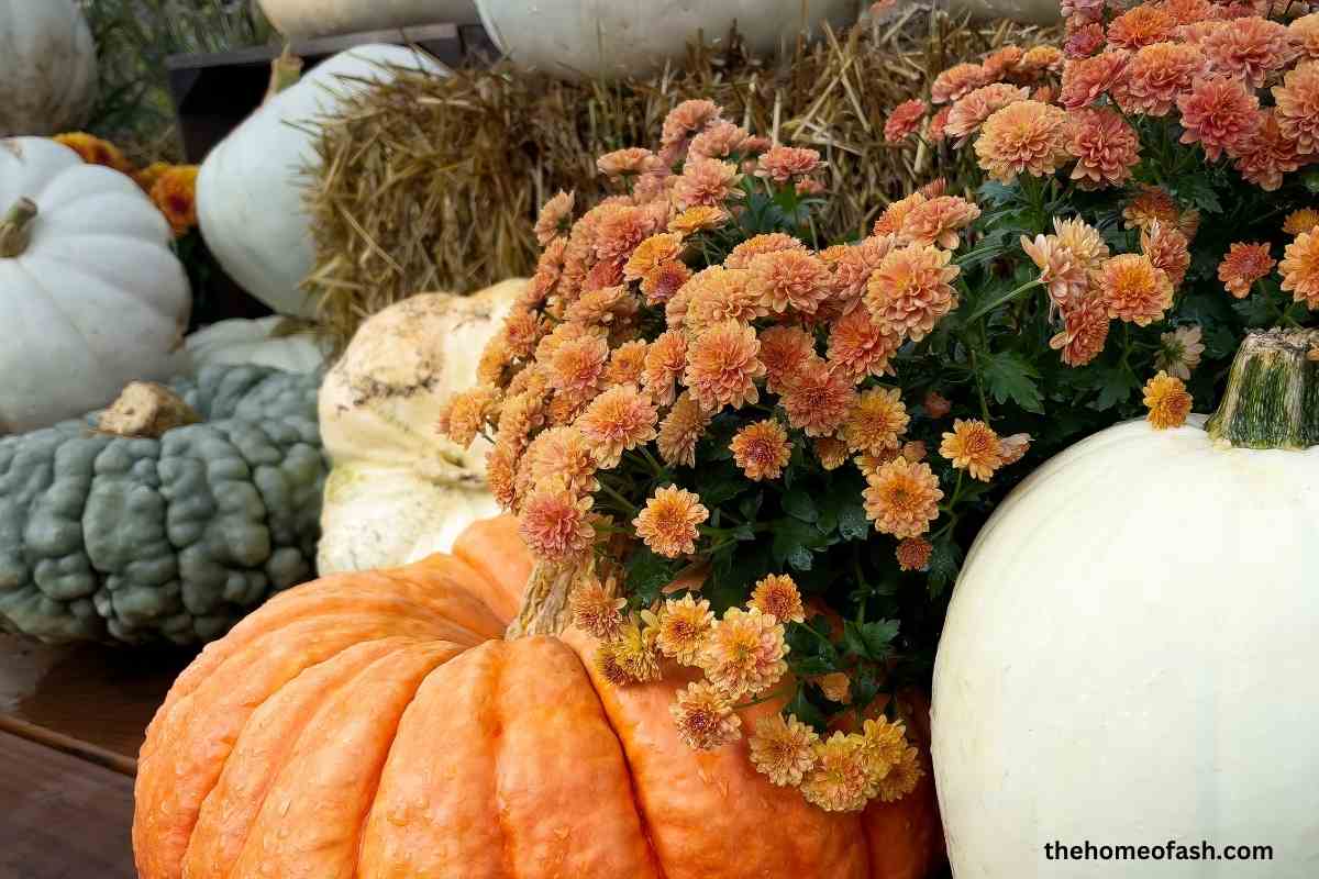 Fall Decor Ideas 1