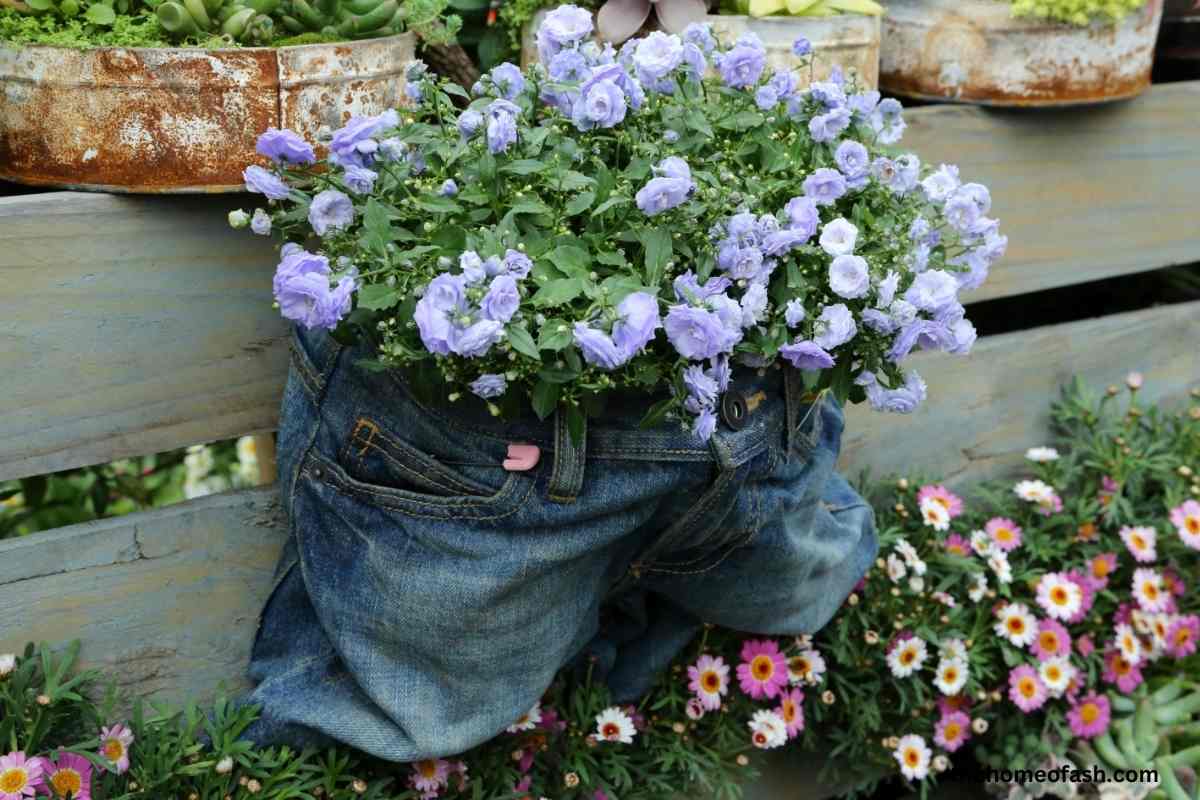 Potted Flowers Ideas