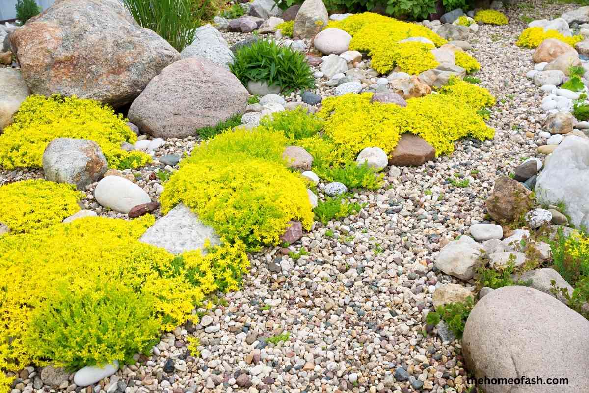 River Rock Landscaping Ideas