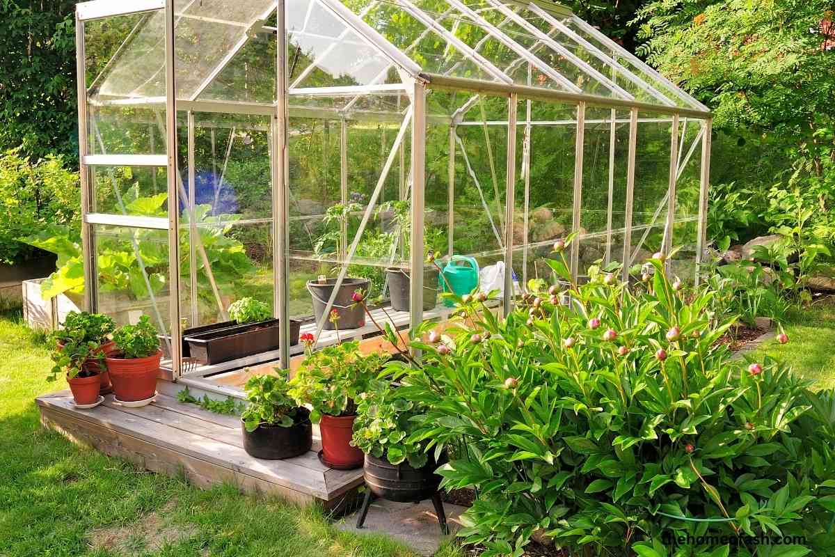 Greenhouse Ideas