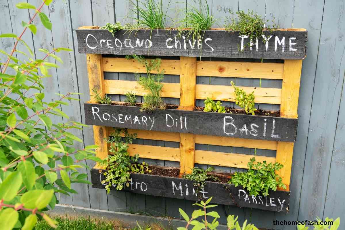 Outdoor Planter Ideas