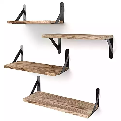 Wall-Mounted Shelves