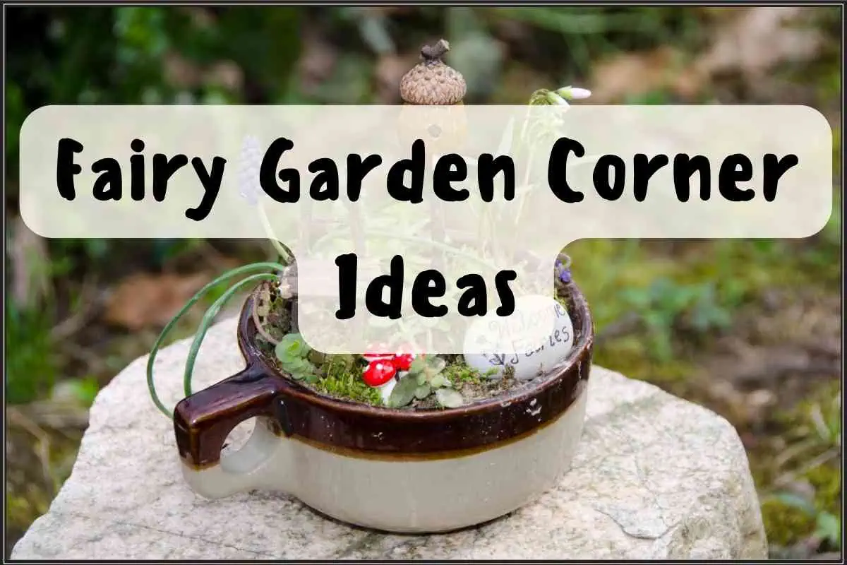 Fairy Garden Corner Ideas