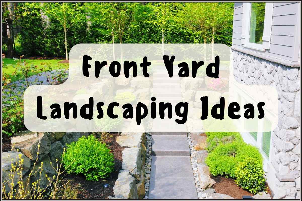 Front Yard Landscaping Ideas