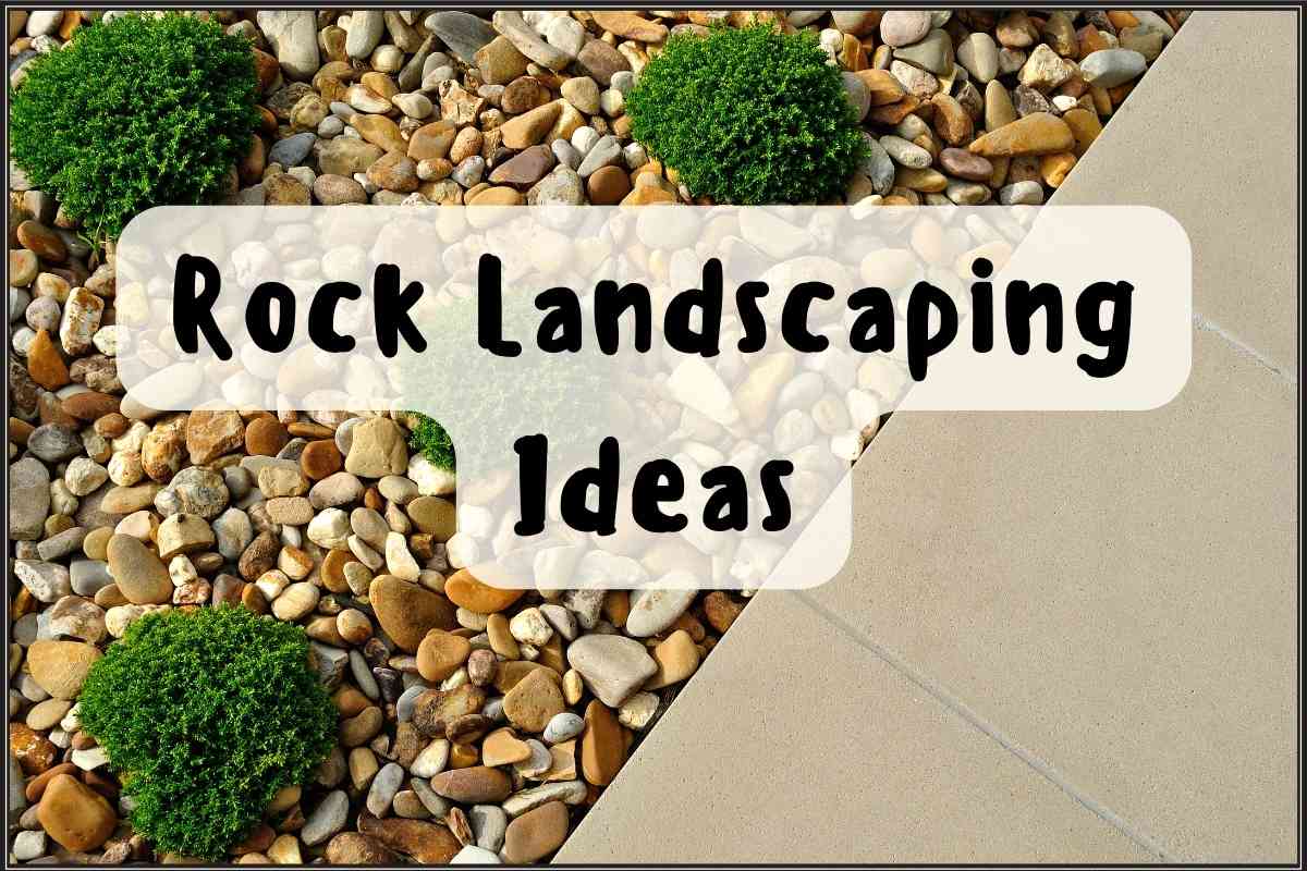 Rock Landscaping Ideas