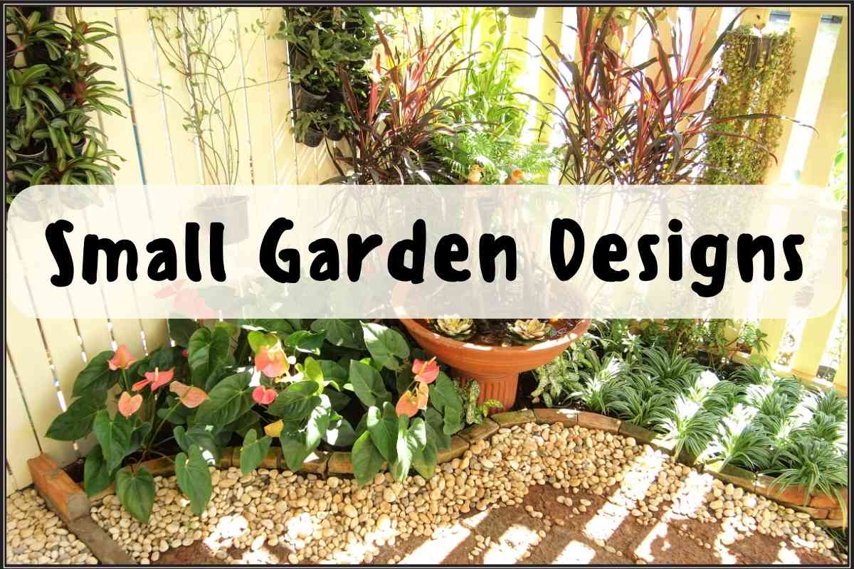 Small Garden Designs