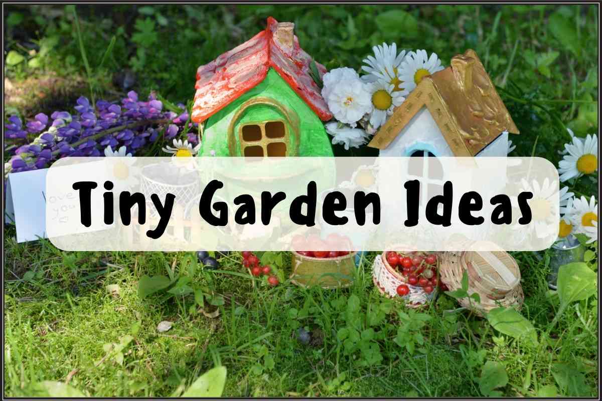 Tiny Garden Ideas