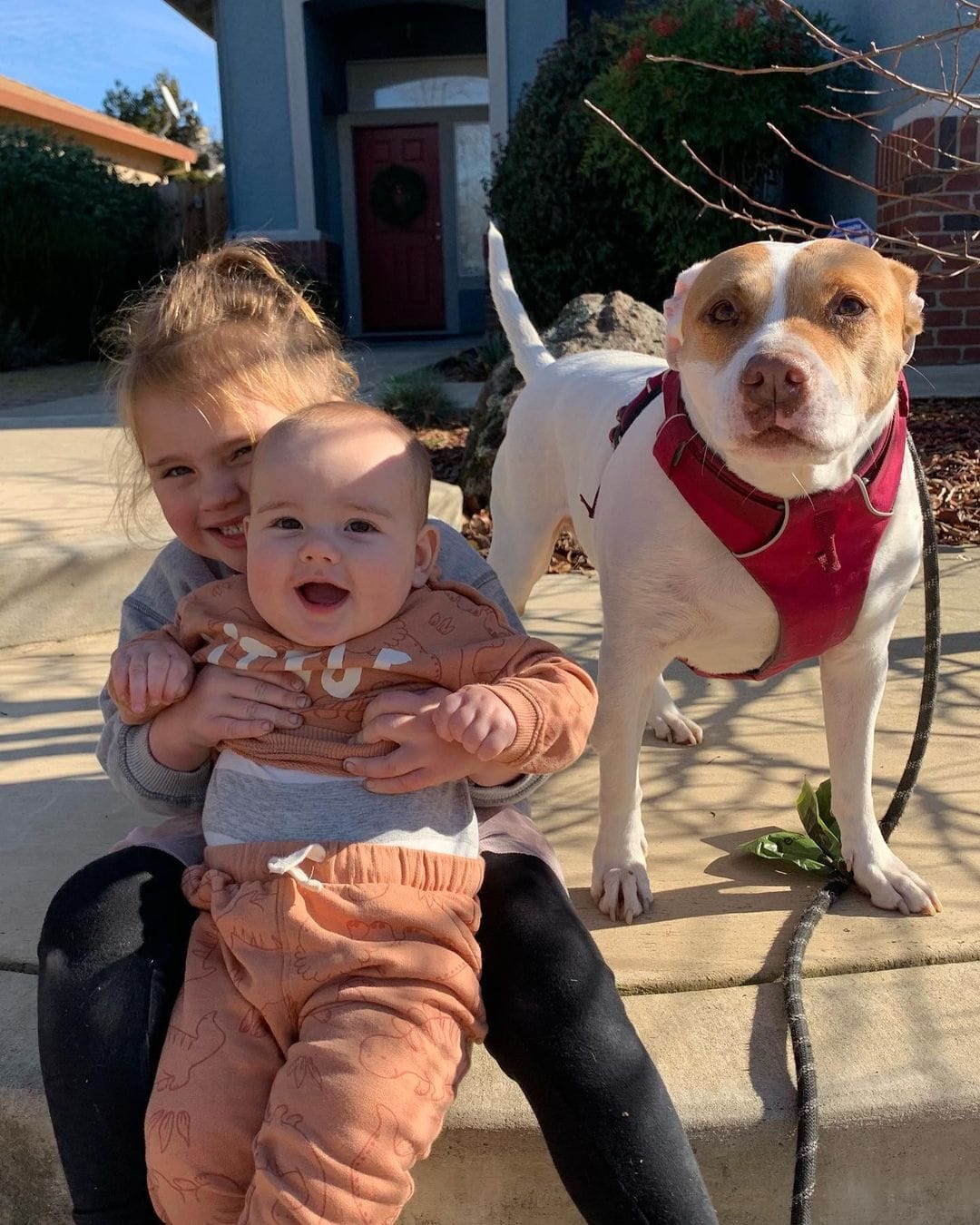 cute little girl with baby and dog posing