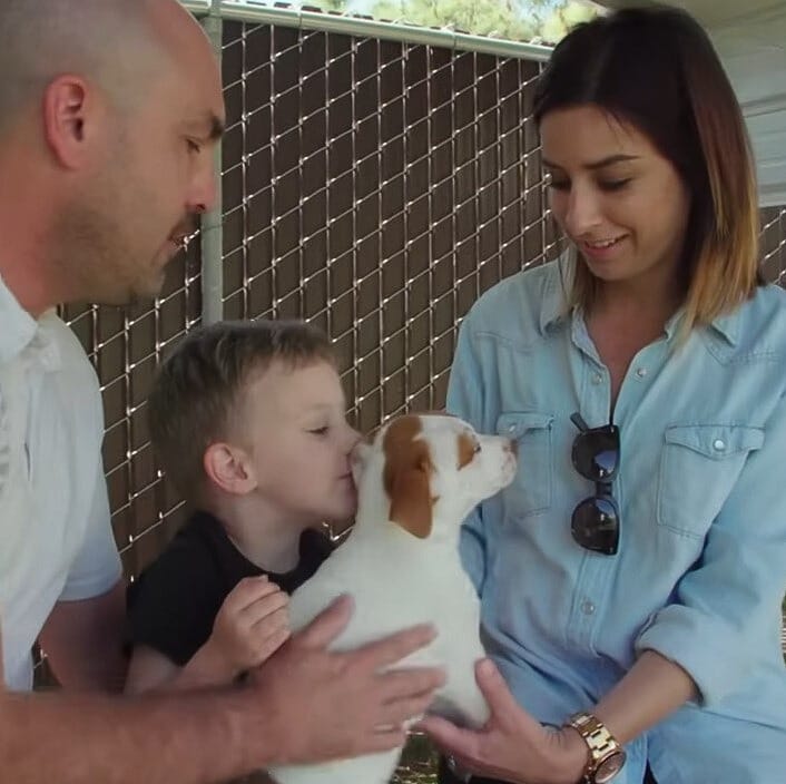 parents holding a dog while little boy kisses him