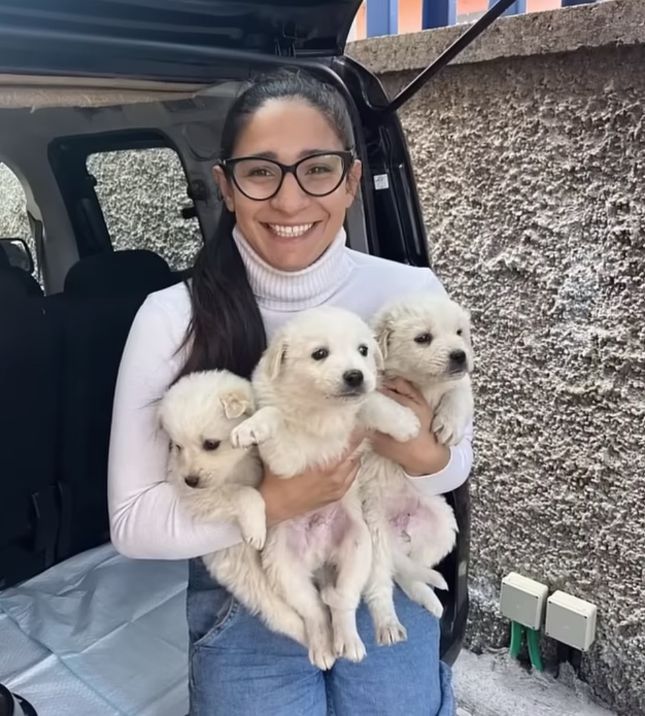 woman and three puppies