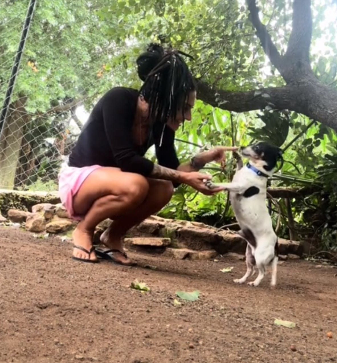 woman engaging with dog